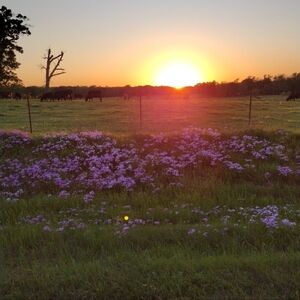 Backstory Of Us- Me W/Without Beard- Wife, Beautiful As Always & My Fav Made Vid